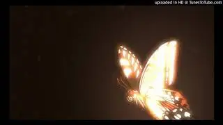 GM SoulRock- Buttah Fly (Kara No Kyoukai OP Remix)