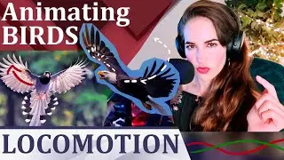 Animation: Bird Locomotion // Flying Bio-mechanics Study