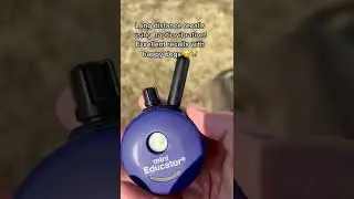Off leash recall!