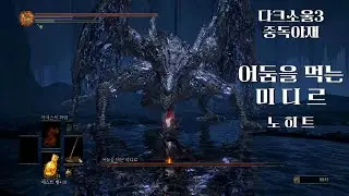 [내일모레 50살 치매예방 다크소울3 DLC] 어둠을 먹는 미디르 노히트