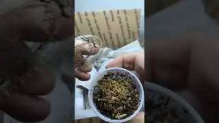 Let&rsquo;s Unbox Some Little Aliens #shorts