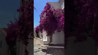 Famed for once being the home of Salvador Dali, Cadaqu&eacute;s is a small town on the northeastern coast
