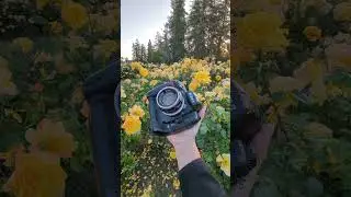 nikon d3s