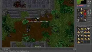 Tibia story by Sebastian