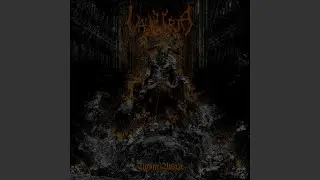 Tombs Into Flesh