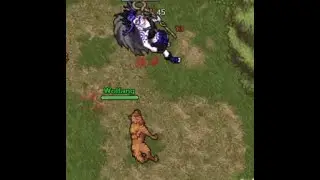 Bloodstone online / Tibia BR  6 anos de vida