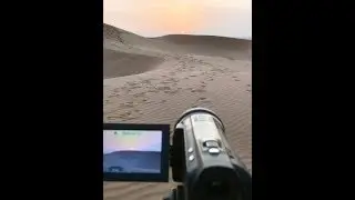 Привидения и мангры в эмиратской 