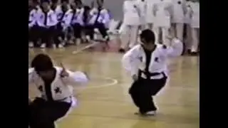 太祖長拳