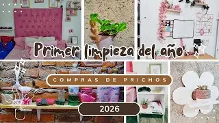 🫧🧽 primer limpieza del año 🧽🫧 ✨2026✨ / compras de prichos / nuevas plantitas 🪴🌱 #limpieza #plantas 