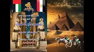 72الهيئة المصرية لسباق الخيل1890 الحصان مقبول اخناتون Maqbul Akhnatun موسم باقى134 موسم صيف2025