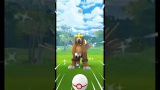 Boosted Shiny Entei Gotcha! #shorts #shiny #entei #ultragoo #raid #special #beast #lucky #caught