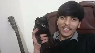 Chicken khila diya phir bhi Meow Meow 🤣 | Ghar mein 2 Billiyon ka Full Drama 🤣🤣