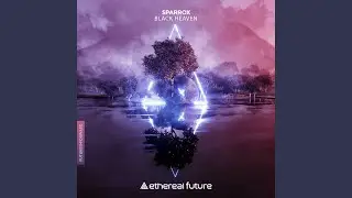 Plonter (Extended Mix)