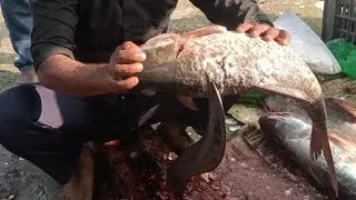 Giant Rohu Fish Cutting Skills In Expert cutter 