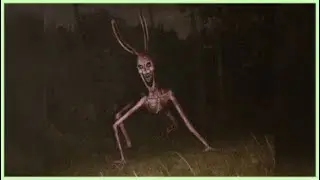 Who is The Demonic Bunny? - Leovincible Creations