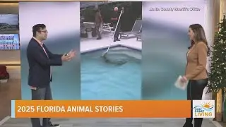 Say What?! | 2025 Florida Animal Stories