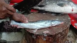 Singhara Fish Cutting Skills | Fish Cutting in Pakistan | PAKISTAN FOOD SECRETS