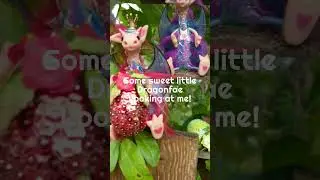 Dragonfae Garden