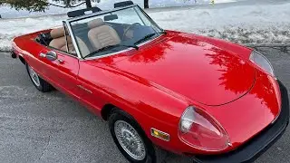 1981 Alfa Romeo Spider Veloce 1/31/26