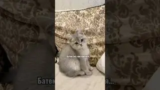 Лучший сериал😂