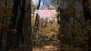Autumn  #nature #quotes