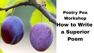 Workshop: How to Write a Superior poem