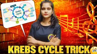 Krebs Cycle Complete Trick | Step by Step Easy Explanation