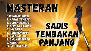 🔴 GACOR SADIS MENTAL KUAT MASTERAN MURAI BATU GACOR