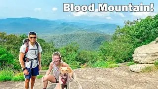 6 Miles and 2 Buddies on the Blood Mountain Loop Hike! (4K) | North Georgia Mountains Hiking Trails