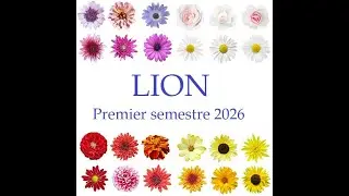 LION - FIRST HALF OF 2026: Development of a business, a creative project.