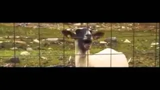 Taylor Swift feat Cabra - I Knew You Were Trouble