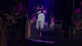 Flashlight Horn Solos-The P Funk Horns