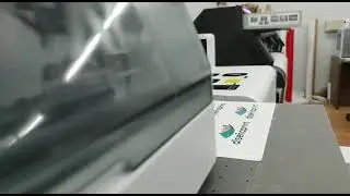 NOCAI DTFUV FILM