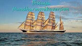 Biscaya coverversion, auf der Mundharmonika