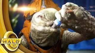 Halo: Last Grunt Alive Trailer