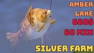 SILVER FARM AMBER LAKE #CARP (271) Russian Fishing 4 RF4