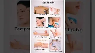 Site of pulse#medical #anatomy #pulse #gnn #shorts