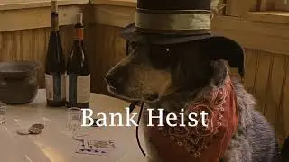 Bank Heist - Two cattle dogs pull off a daring bank robbery.