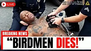 🔴 LIVE: The Tragic Fate of Birdman &ndash; Watch NOW