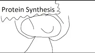 Proto-Synthesis... | The Biology Project
