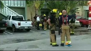 Wilton Manors Fire Leaves Three Pets Dead