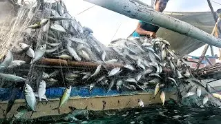 Hindi maka paniwala ganito karami ang mahuli Namin sa subrang dami nag mistulang bundok  NET FISHING