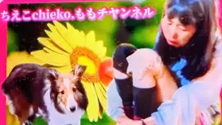 ゲリラライブ  #爆笑