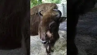 Tierpark 2020