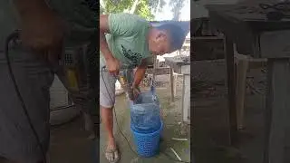 Nipples drinking water para sa baboy 