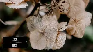 EMBRZ - Visions