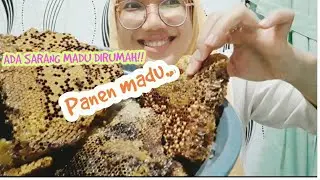 ADA SARANG MADU DIRUMAH ULFA GUYS SAAT LAGI BENERIN ATAP KAMAR!! *AutoSHOCK 😱