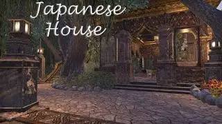 Sleek Creek - Japanese modern house