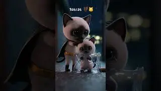 BatCat: From Rain to Home