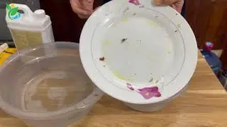 Nước rửa ch&eacute;n hữu cơ sinh học EcoKIT sạch thế n&agrave;o?